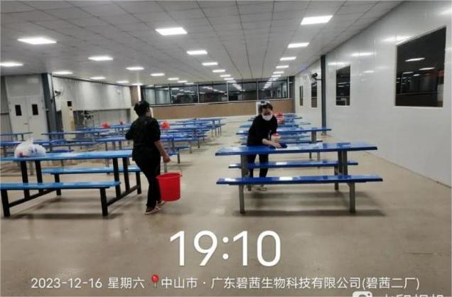 Культура управления 5S в ООО «Беше Косметикс»